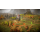 ICEFLAKE STUDIOS Surviving the Aftermath Day One Edition Nintendo Switch - 1459492 - zdjęcie 6